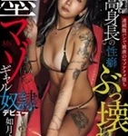 如月よぞら