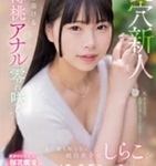 しらこ